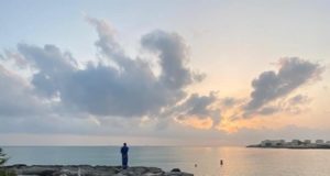 Read more about the article She Walks With Me Still